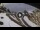 Webcam in Rocca Pietore, 1.6 mi away