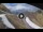 Webcam in Rocca Pietore, 1.6 mi away