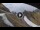 Webcam in Rocca Pietore, 1.6 mi away