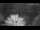 Webcam in Split, 1 km entfernt