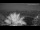 Webcam in Split, 0.1 mi away