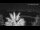 Webcam in Split, 0.1 mi away