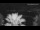 Webcam in Split, 1.2 mi away