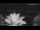 Webcam in Spalato, 3.1 km