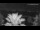 Webcam in Spalato, 14.8 km