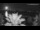 Webcam in Split, 2.1 mi away