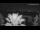Webcam in Split, 0.5 km entfernt