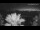 Webcam in Split, 5.4 mi away