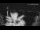 Webcam in Spalato, 0.1 km