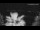 Webcam in Spalato, 0.1 km