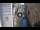 Webcam in Venice, 0.2 mi away