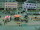 Webcam in Oelsnitz (Vogtland), 8.1 mi away