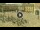 Webcam in Fano, 22.3 km