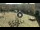 Webcam in Fano, 1 km entfernt