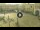 Webcam in Fano, 0.9 km