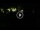 Webcam in Fano, 0.3 km