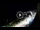 Webcam in Santa Cesarea Terme, 92.6 km entfernt