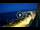 Webcam in Santa Cesarea Terme, 8.2 mi away