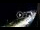 Webcam in Santa Cesarea Terme, 0.2 mi away