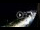 Webcam in Santa Cesarea Terme, 4.8 mi away