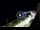 Webcam in Santa Cesarea Terme, 28.6 km entfernt