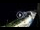 Webcam in Santa Cesarea Terme, 19.5 km