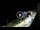 Webcam in Santa Cesarea Terme, 82.3 km