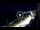 Webcam in Santa Cesarea Terme, 90.2 km