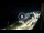 Webcam in Santa Cesarea Terme, 4.8 mi away