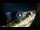 Webcam in Santa Cesarea Terme, 5.3 km