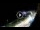 Webcam in Santa Cesarea Terme, 27.9 km
