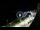 Webcam in Santa Cesarea Terme, 28.6 km