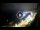 Webcam in Santa Cesarea Terme, 19.5 km entfernt