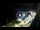 Webcam in Santa Cesarea Terme, 1.1 km entfernt