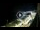 Webcam in Santa Cesarea Terme, 0.1 km