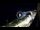 Webcam in Santa Cesarea Terme, 19.5 km entfernt