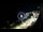 Webcam in Santa Cesarea Terme, 19.5 km entfernt