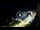 Webcam in Santa Cesarea Terme, 0 mi away