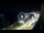 Webcam in Santa Cesarea Terme, 7.5 mi away