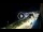 Webcam in Santa Cesarea Terme, 4.1 km