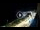 Webcam in Santa Cesarea Terme, 12.6 km