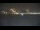 Webcam in Istanbul, 10 km