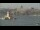Webcam in Istanbul, 3.4 km entfernt