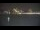 Webcam in Istanbul, 248.5 mi away
