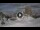 Webcam in Cortina d'Ampezzo, 0.5 km
