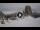 Webcam in Cortina d'Ampezzo, 9.5 km