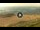 Webcam in Ballito, 1.4 km