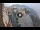 Webcam in Taormina, 0.3 km