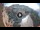 Webcam in Taormina, 16.7 mi away