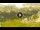 Webcam in Cortina d'Ampezzo, 3.8 mi away